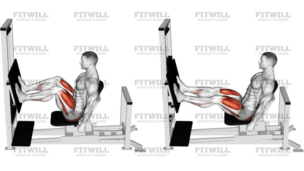 Lever Horizontal Leg Press