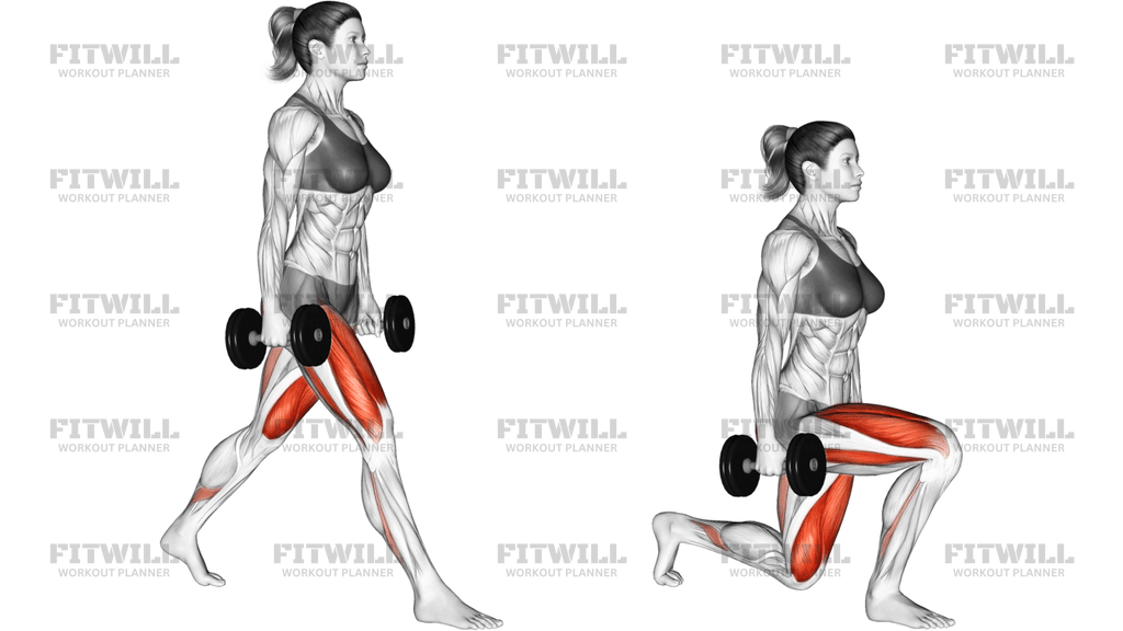 Dumbbell Split Squat