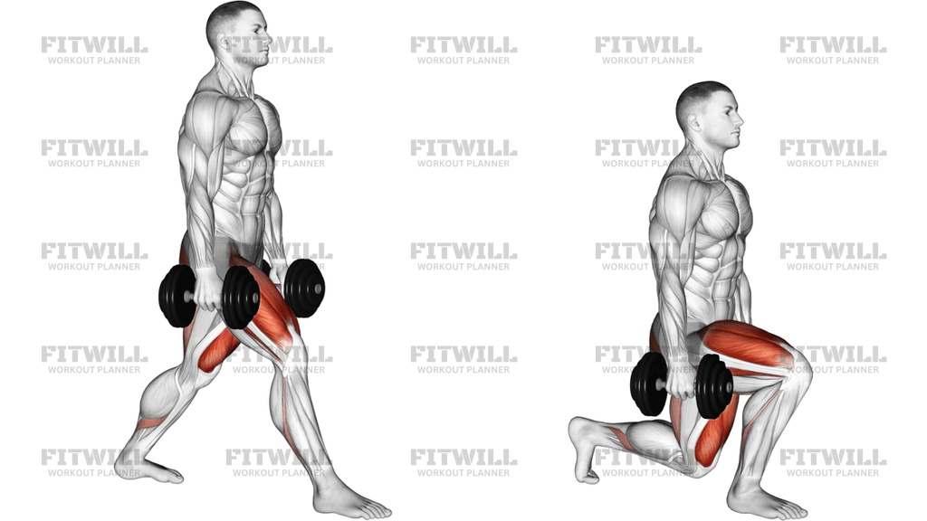 Dumbbell Split Squat