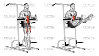 Captains Chair Straight Leg Raise