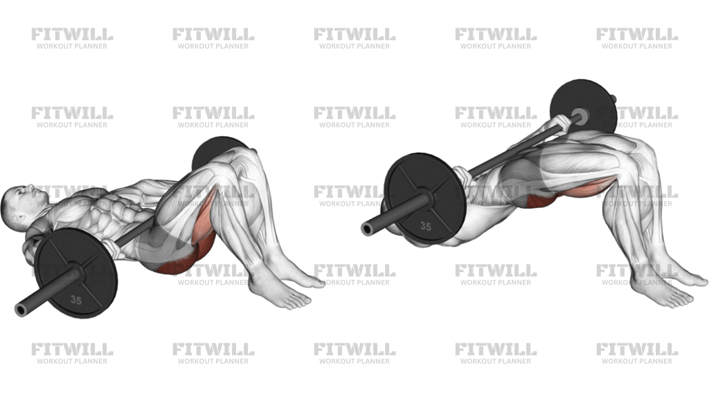 Barbell Glute Bridge Hands On Bar
