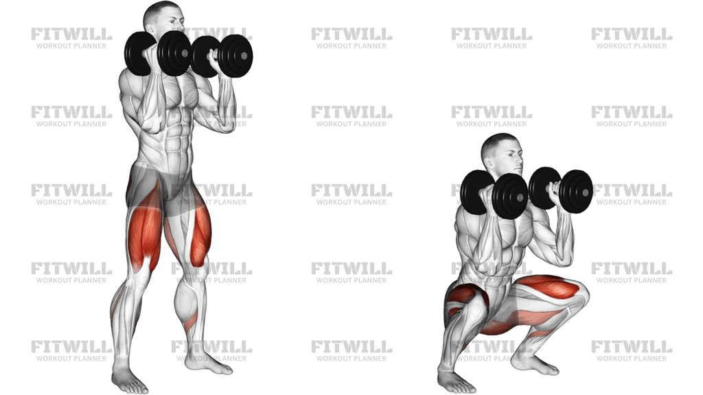 Dumbbell Front Squat