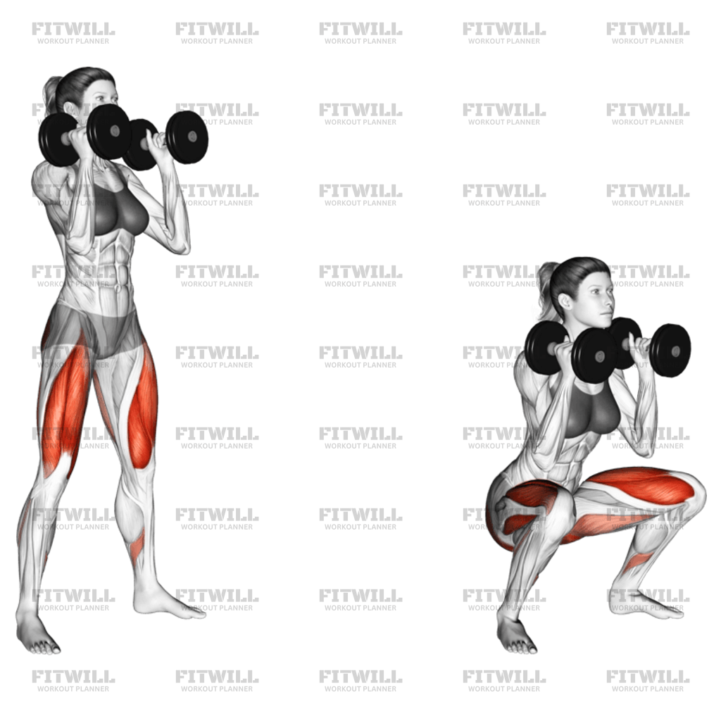 Dumbbell Front Squat Exercise Guide Video Techniques Benefits How to Muscles Worked Tips Tricks Fitwill