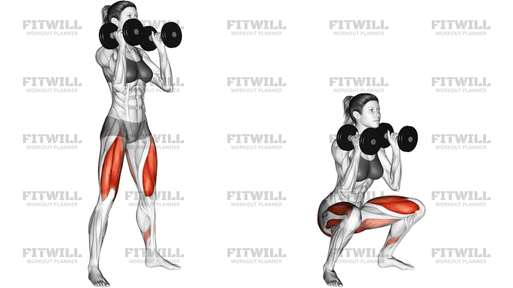 Dumbbell Front Squat