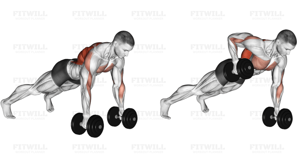 Dumbbell Renegade Row