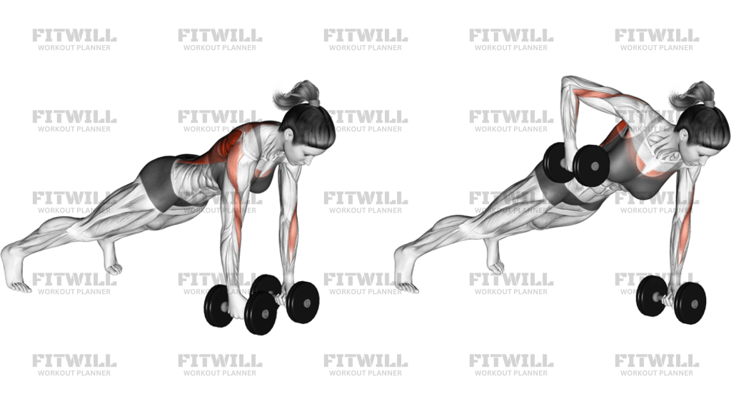 Dumbbell Renegade Row