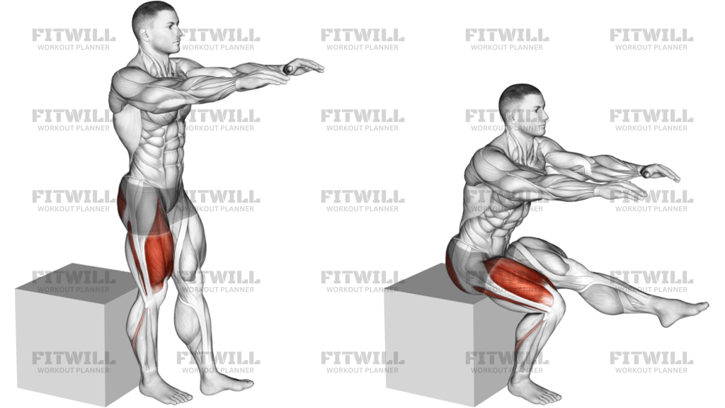 Pistol Squat To Box