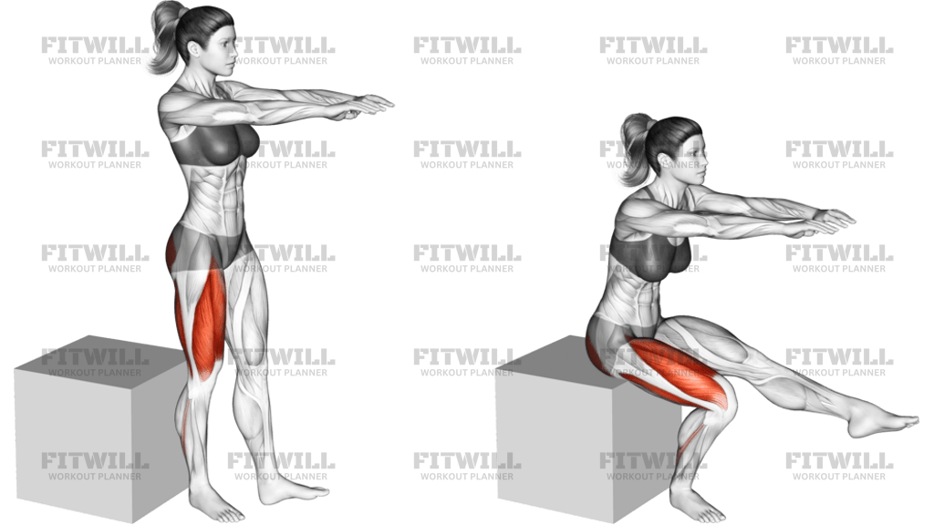 Pistol Squat To Box