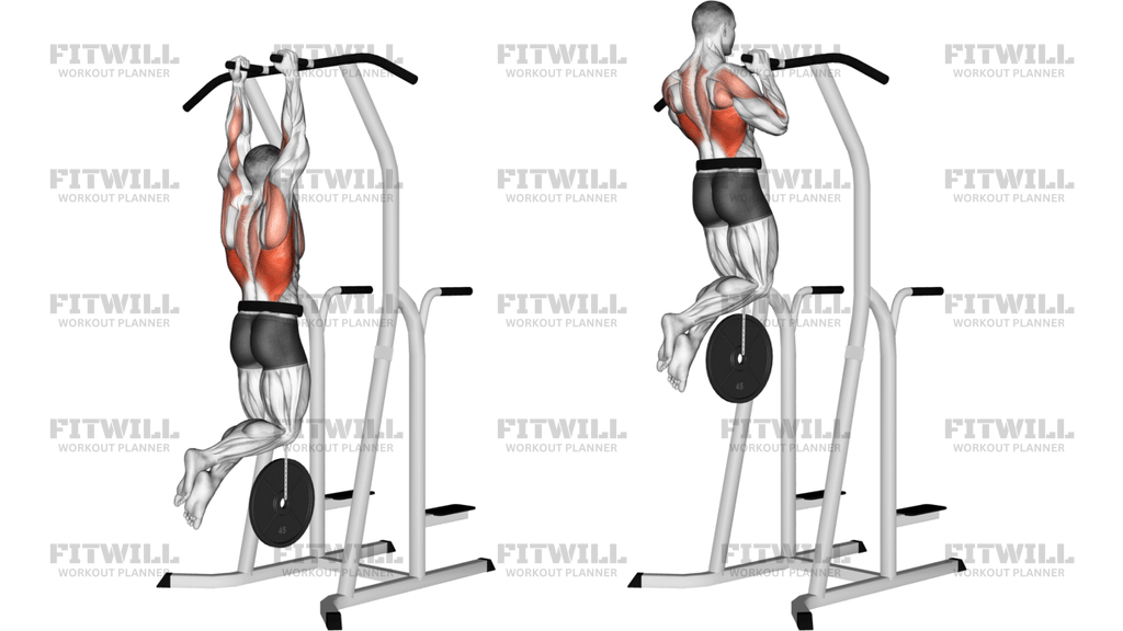 Weighted Hammer Grip Pull-Up On Dip Cage