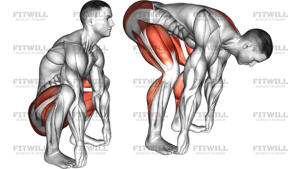 Squat Mobility Complex