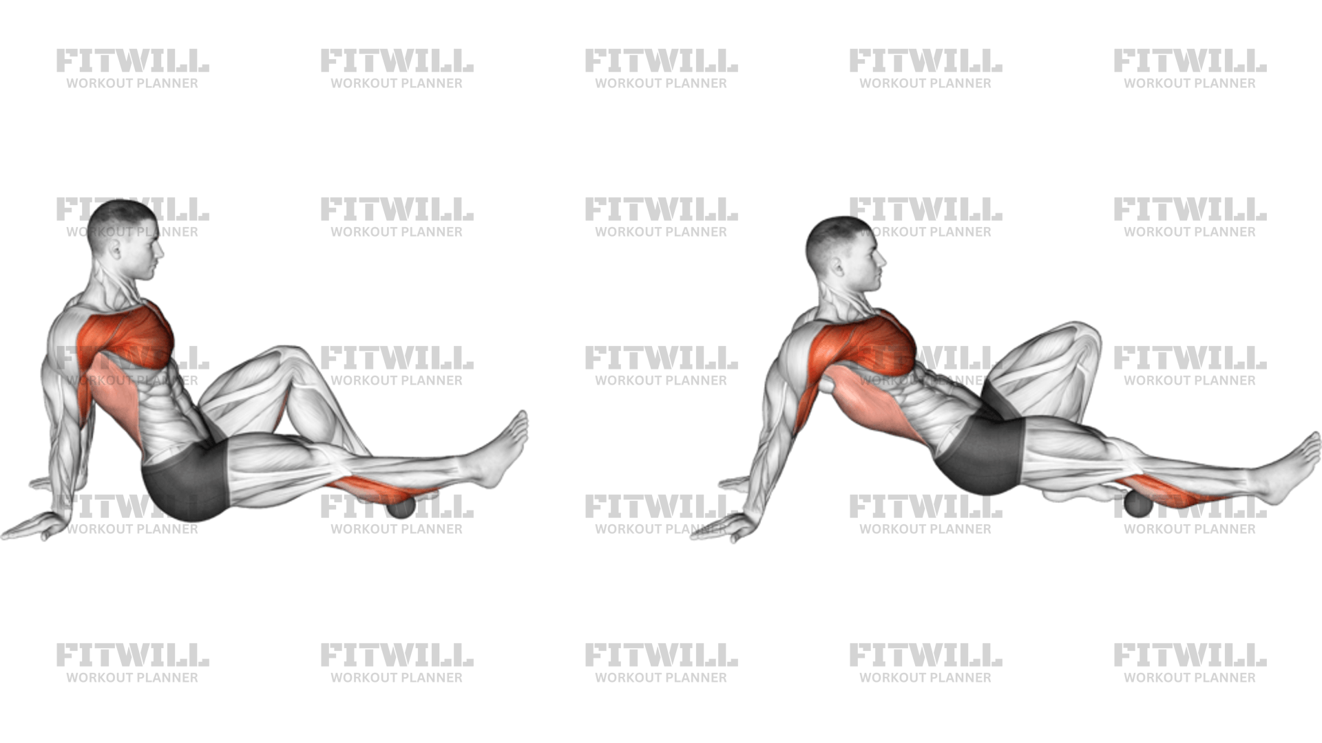 Rollball Seated Single Leg Shoulder Flexor Depressor Retractor ...