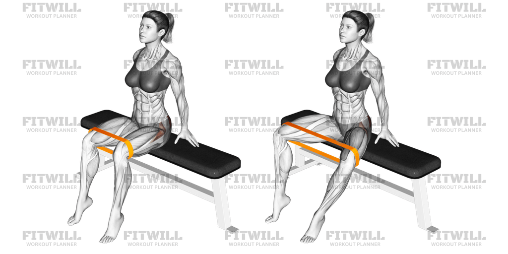 Resistance Band Seated Hip Abduction Exercise Guide Video Techniques Benefits How to Muscles Worked Tips Tricks Fitwill