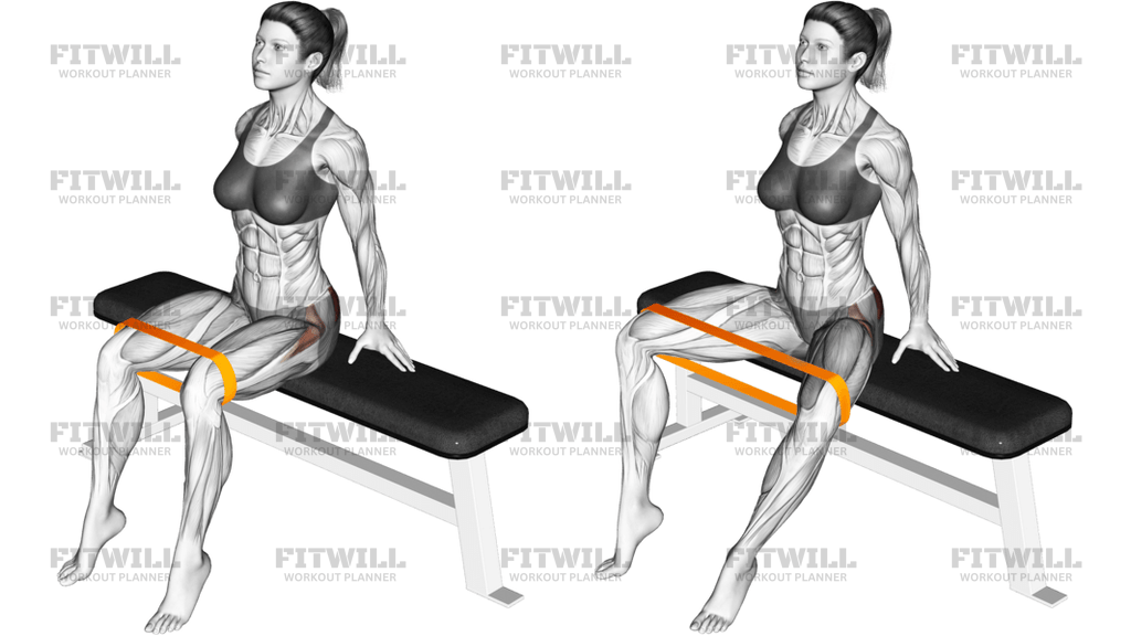 Resistance Band Seated Hip Abduction