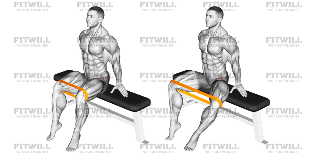 Resistance Band Seated Hip Abduction Exercise Guide Video Techniques Benefits How to Muscles Worked Tips Tricks Fitwill