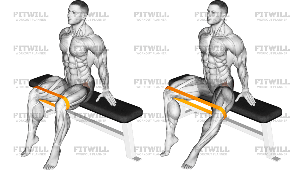 Resistance Band Seated Hip Abduction