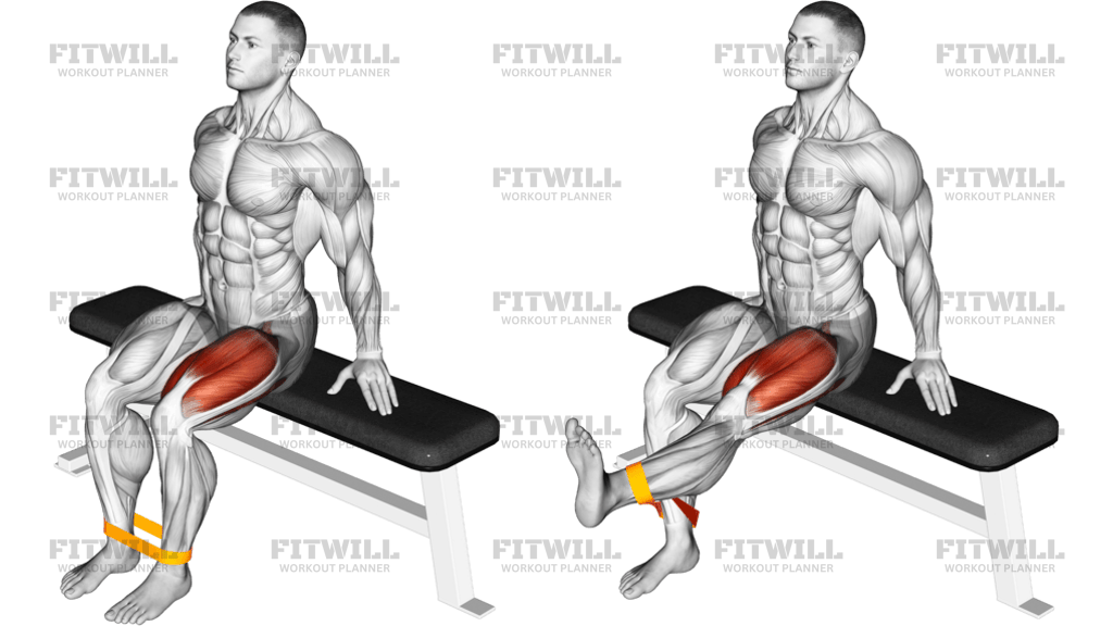 Resistance Band Leg Extension