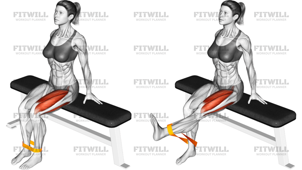 Resistance Band Leg Extension