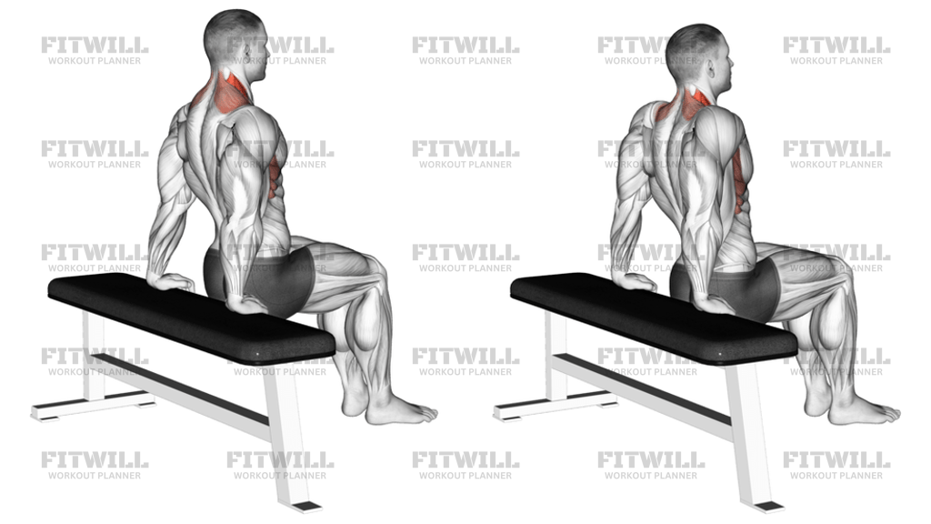 Scapula Dips