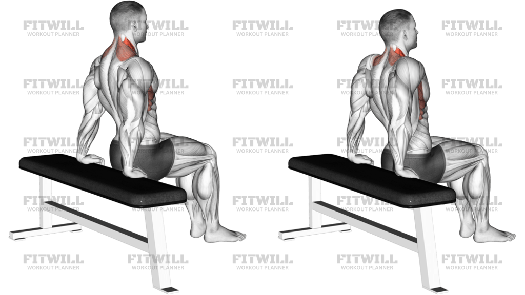 Scapula Dips