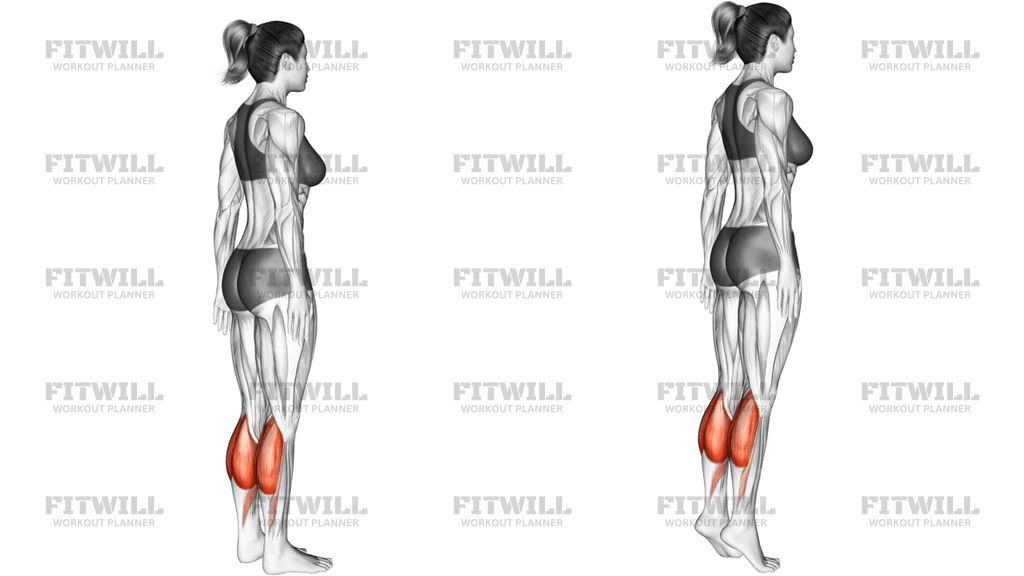 Standing Calf Raise