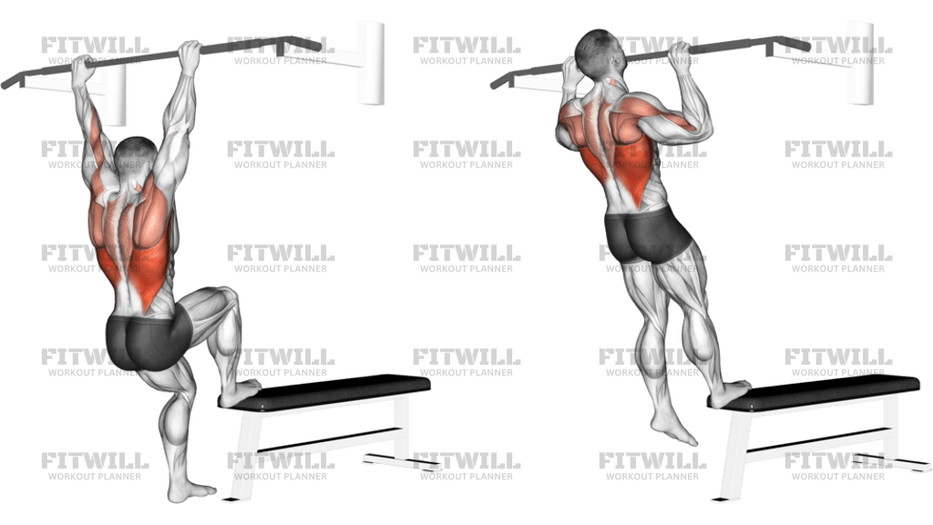 Bench Pull-Ups