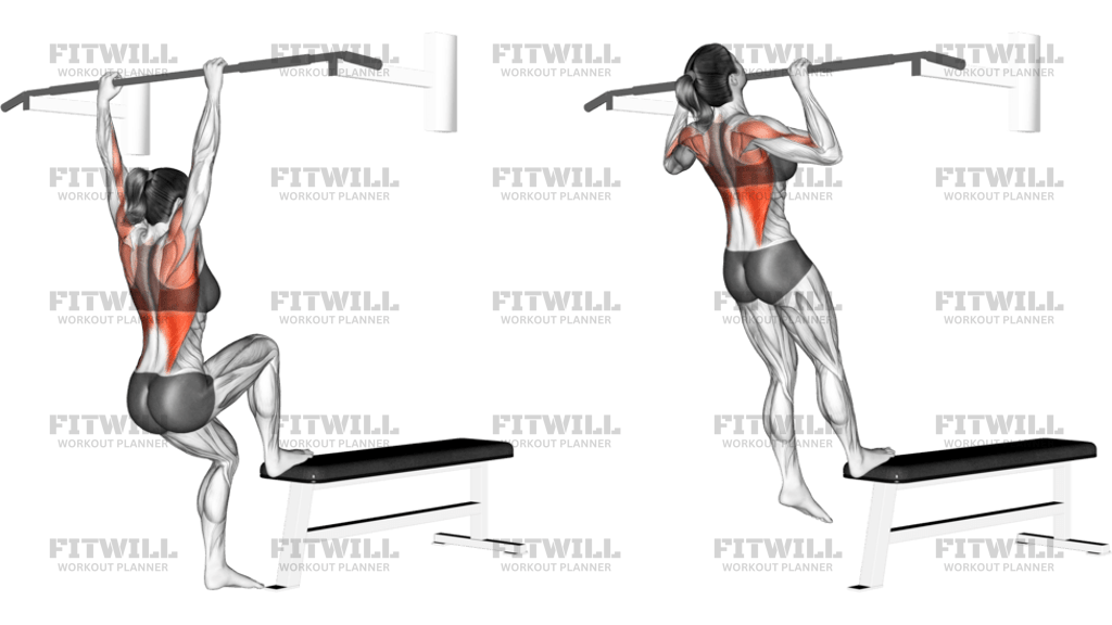 Bench Pull-Ups