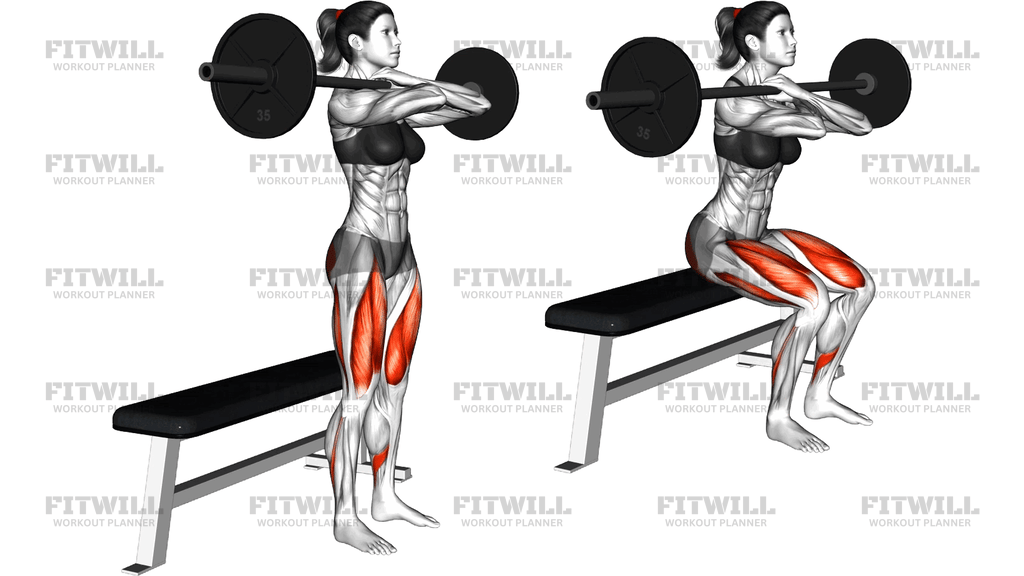 Barbell Bench Front Squat