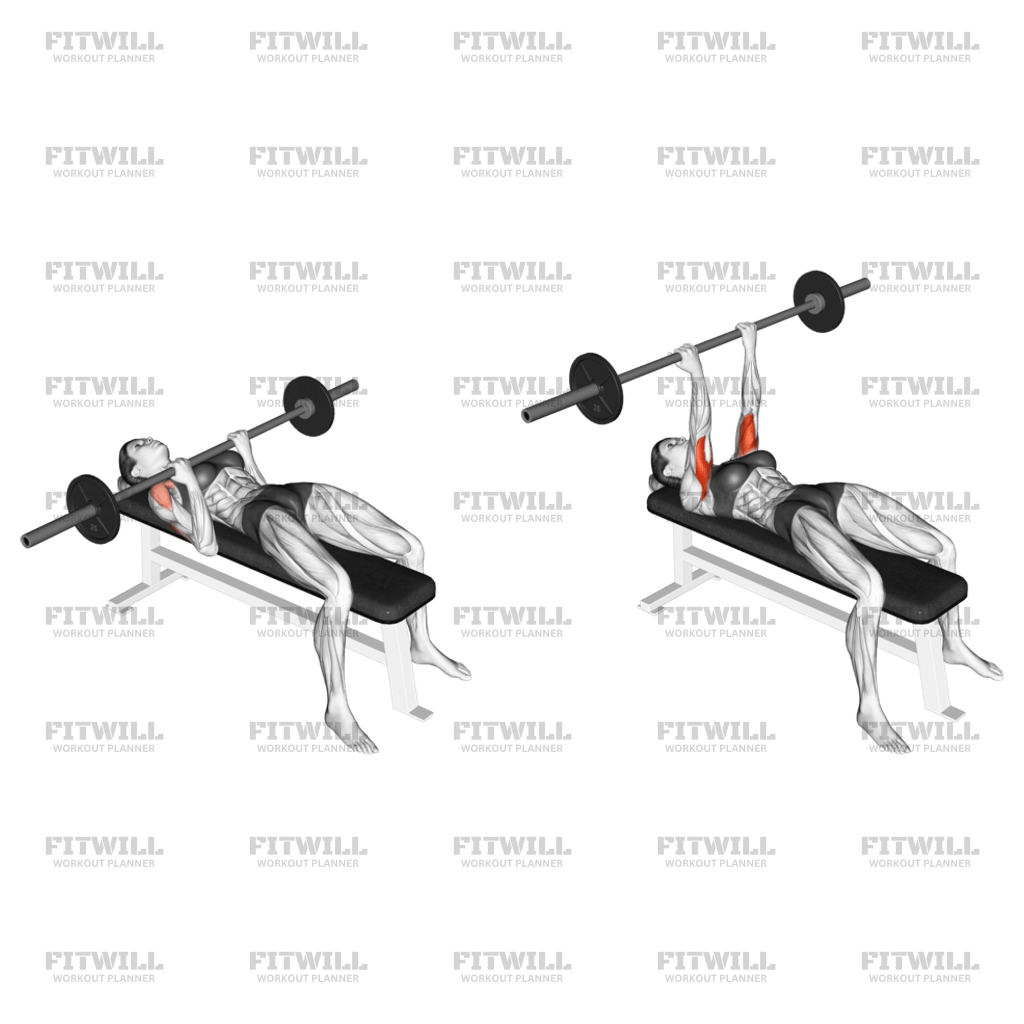 バーベルJMベンチプレス: エクササイズガイド、テクニック、利点、方法、働く筋肉、ヒント&トリック | Fitwill バーベルJMベンチプレス: エクササイズガイド、テクニック、利点、方法、働く筋肉、ヒント&トリック | Fitwill