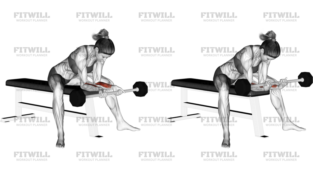 Barbell Wrist Curl