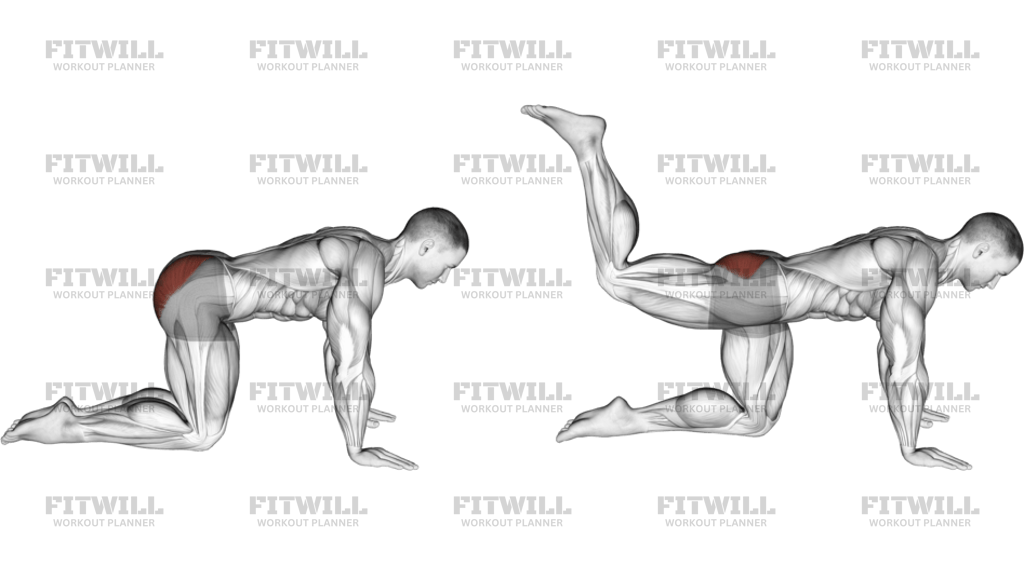 Kneeling Bent Leg Kickback