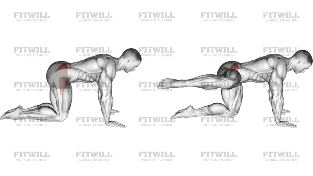 Kneeling Bent Leg Side Kick