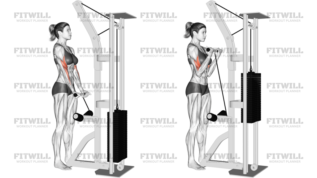 Cable Close-Grip Curl