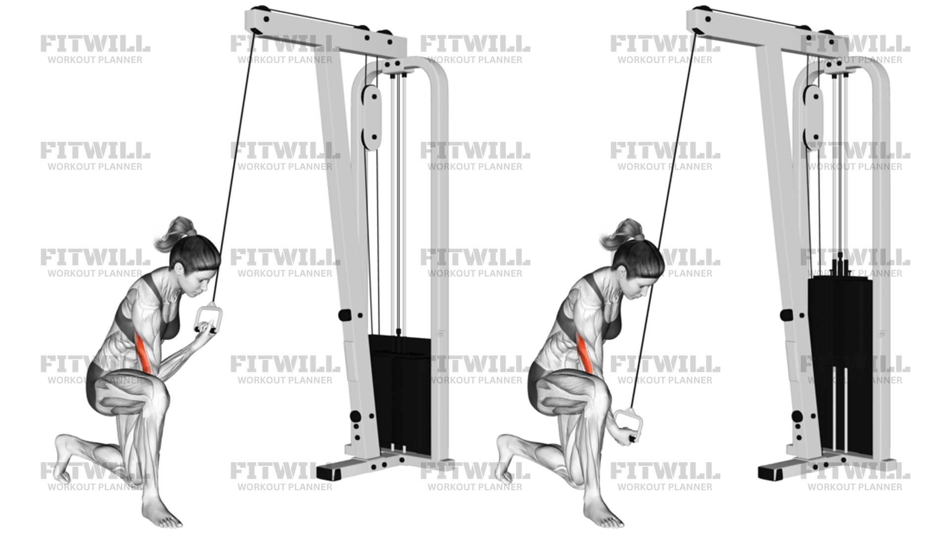 Row Back Workout Gym Women Machine Band Y-raise Video Guide
