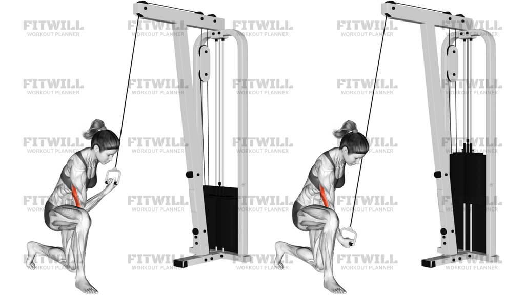Cable Concentration Extension On Knee