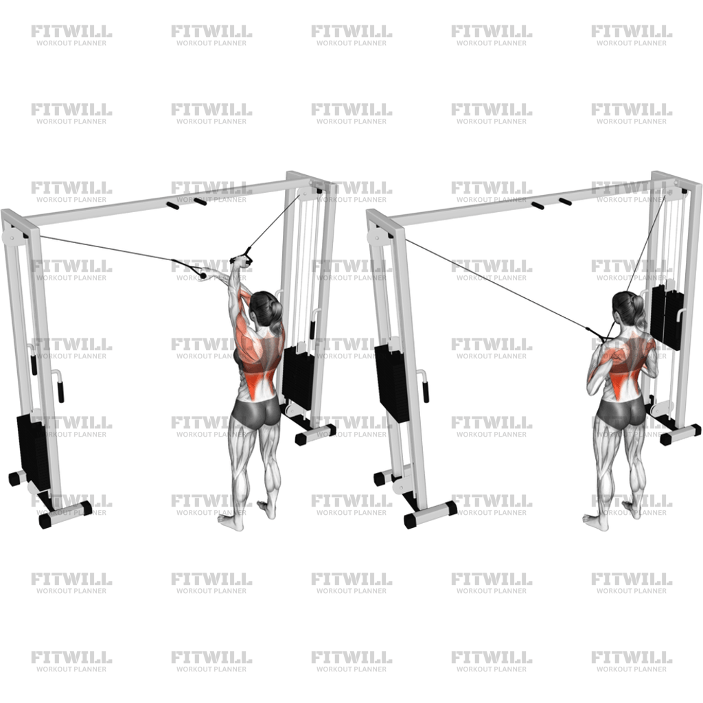 Cable Cross Over Lateral Pulldown: Exercise Guide, Video, Techniques ...