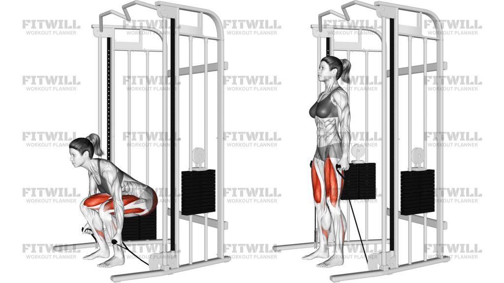Cable Deadlift