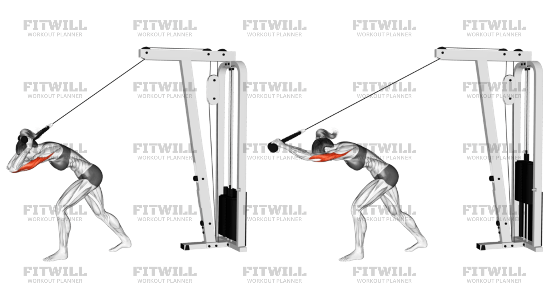 Cable High Pulley Overhead Tricep Extension: Exercise Guide, Video ...