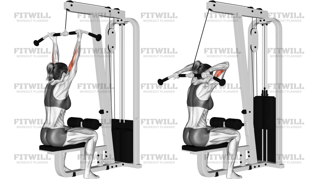 Cable Pulldown Bicep Curl