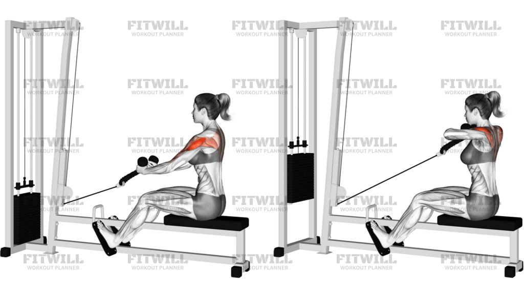 Cable Rear Delt Row Stirrups
