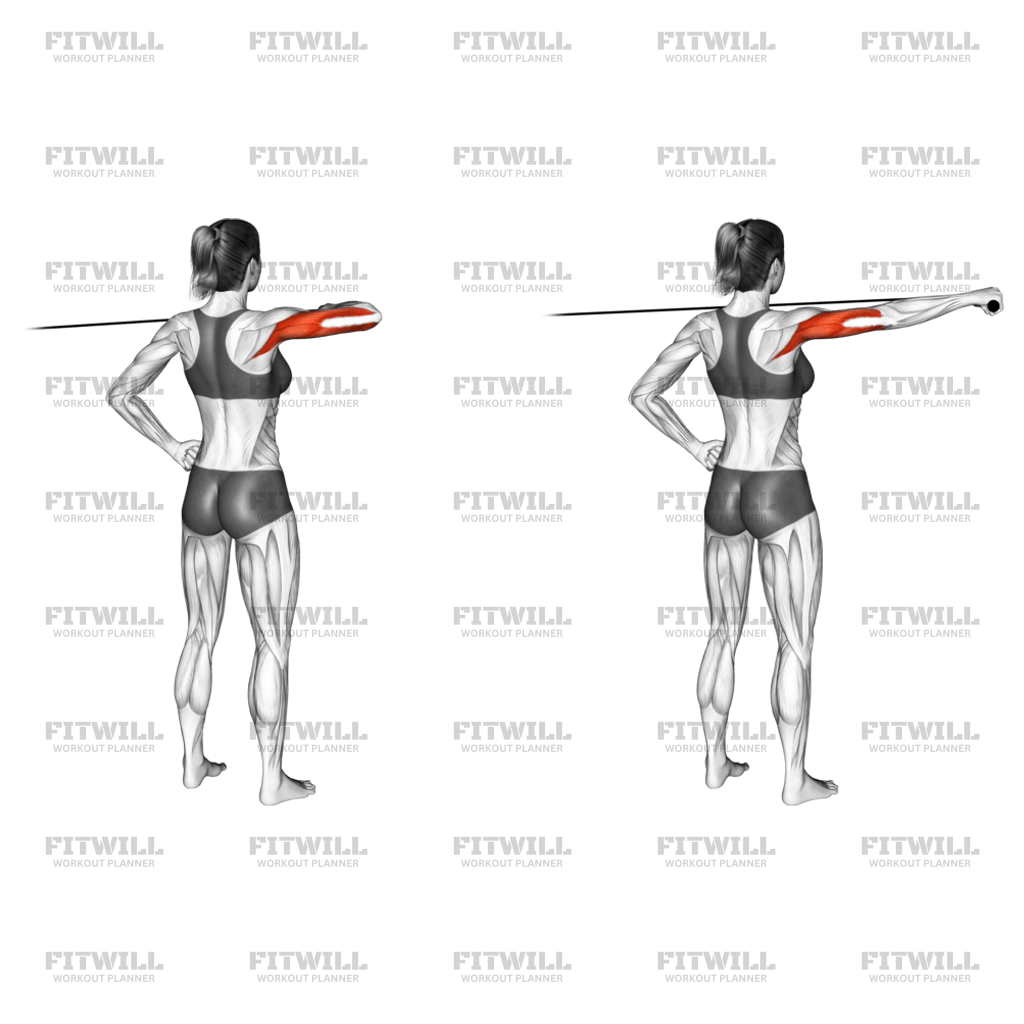 Cable Rear Drive: Exercise Guide, Techniques, Benefits, How to, Muscles ...