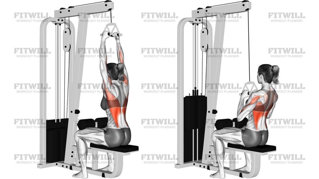 Cable Seated High Row V-Bar
