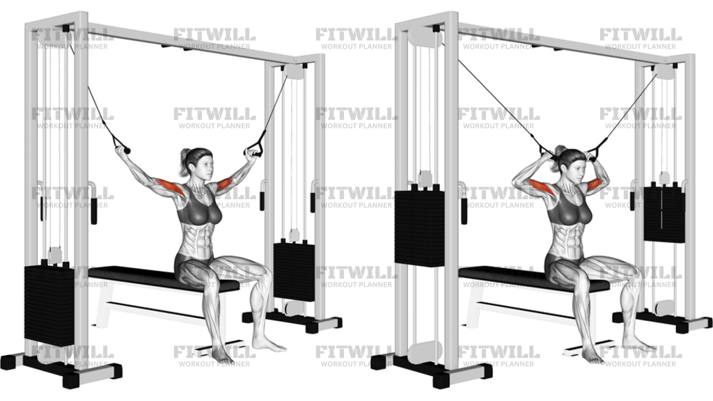 Cable Seated Overhead Curl: Exercise Guide, Techniques, Benefits, How ...