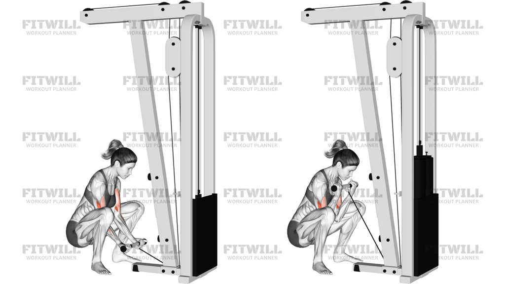 Cable Squatting Curl