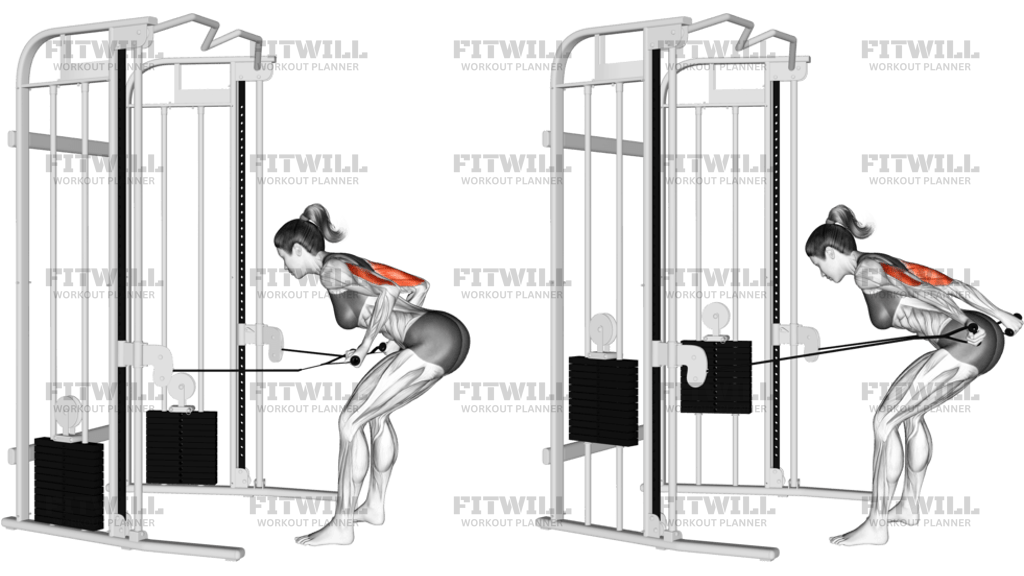 Cable Two Arm Tricep Kickback