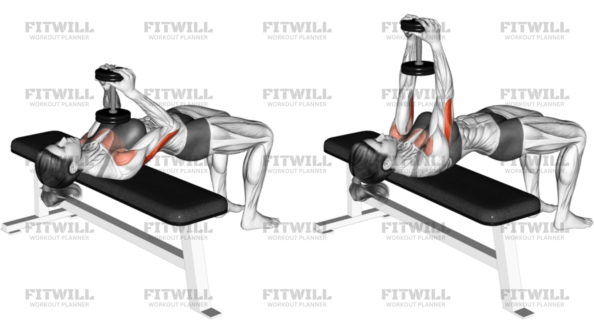 Dumbbell Close-Grip Press: Exercise Guide, Techniques, Benefits, How to ...