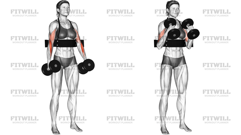 Dumbbell Hammer Curls With Arm Blaster