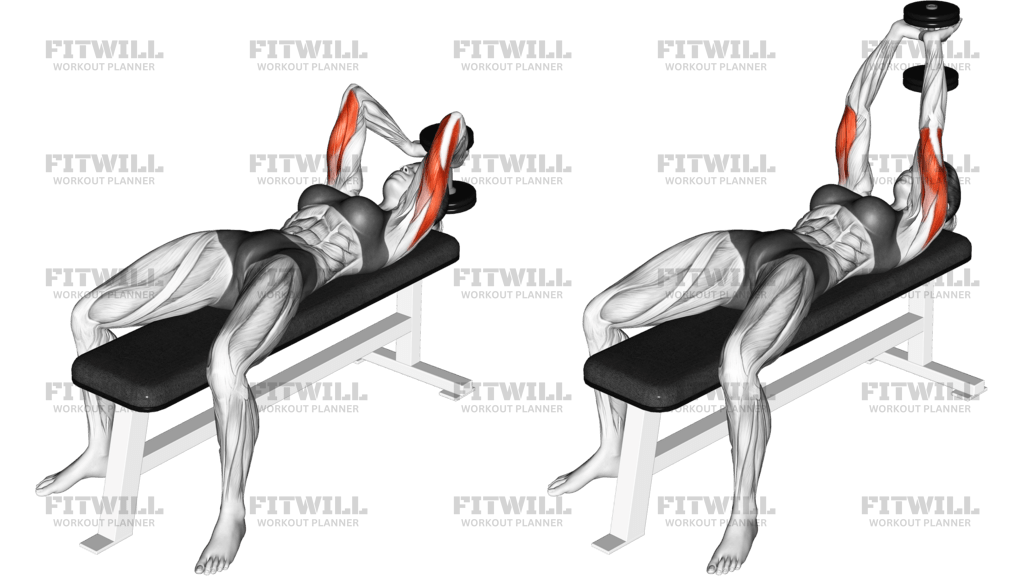 Dumbbell Lying Single Extension