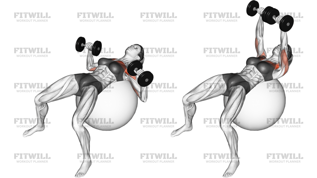 Dumbbell Press On Exercise Ball