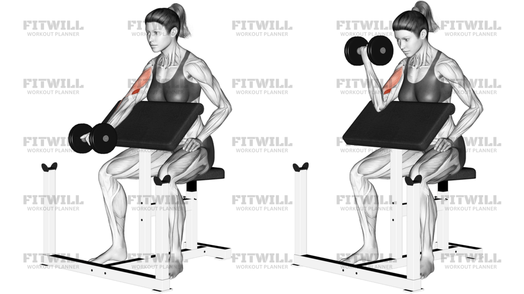 Dumbbell Single-Arm Preacher Curl