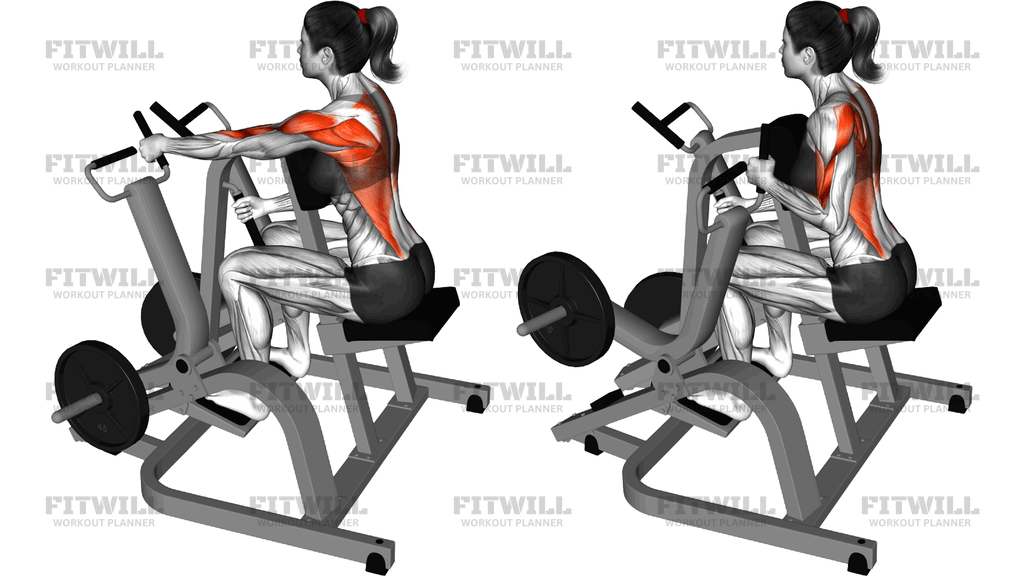 Lever Alternating Narrow-Grip Seated Row Plate Loaded